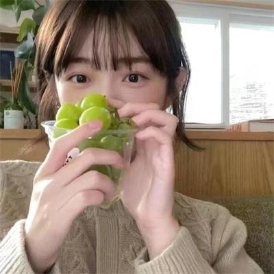 凝视动物的100种方式